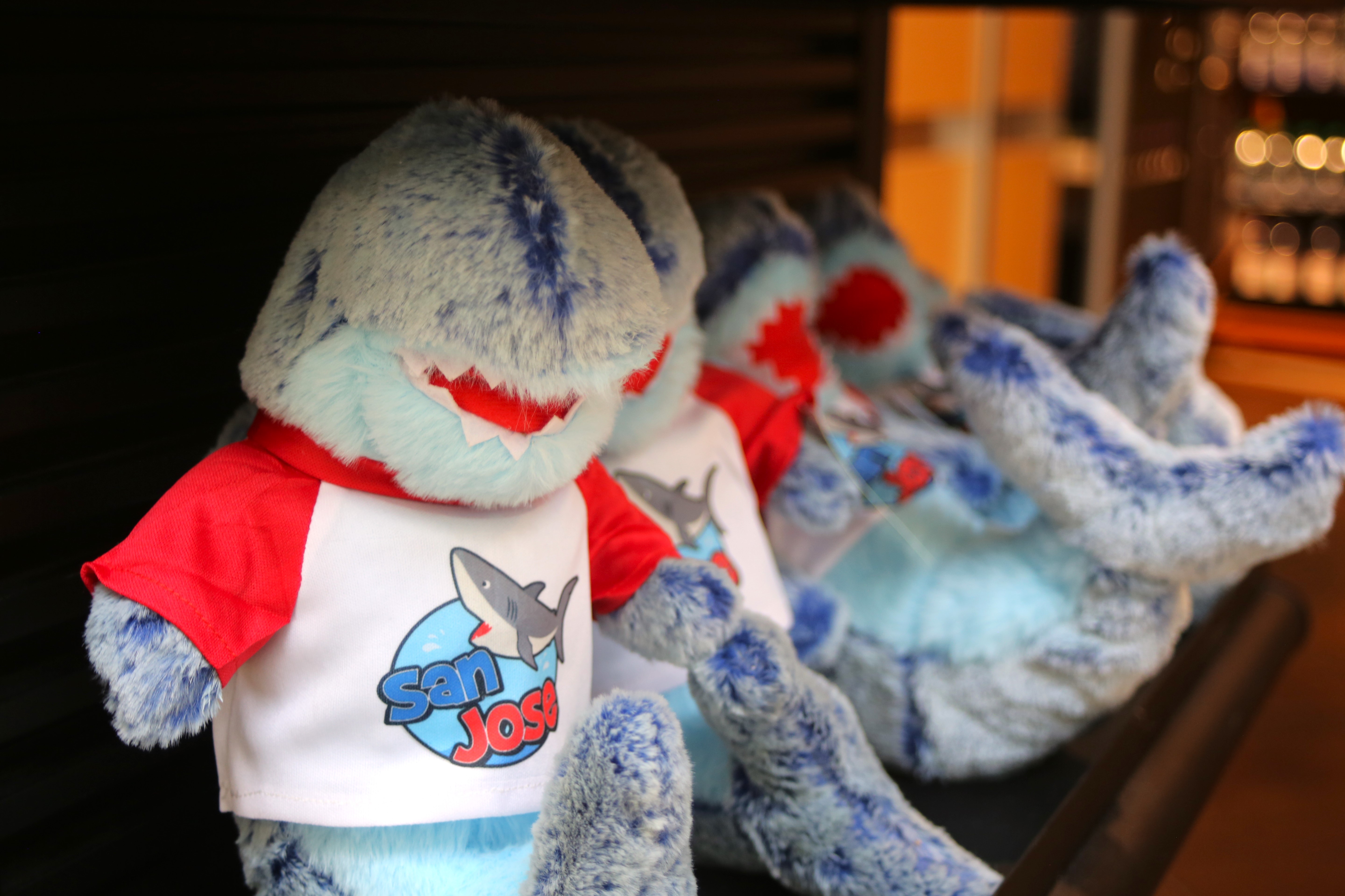 Image of Authors Bookstore in Terminal A