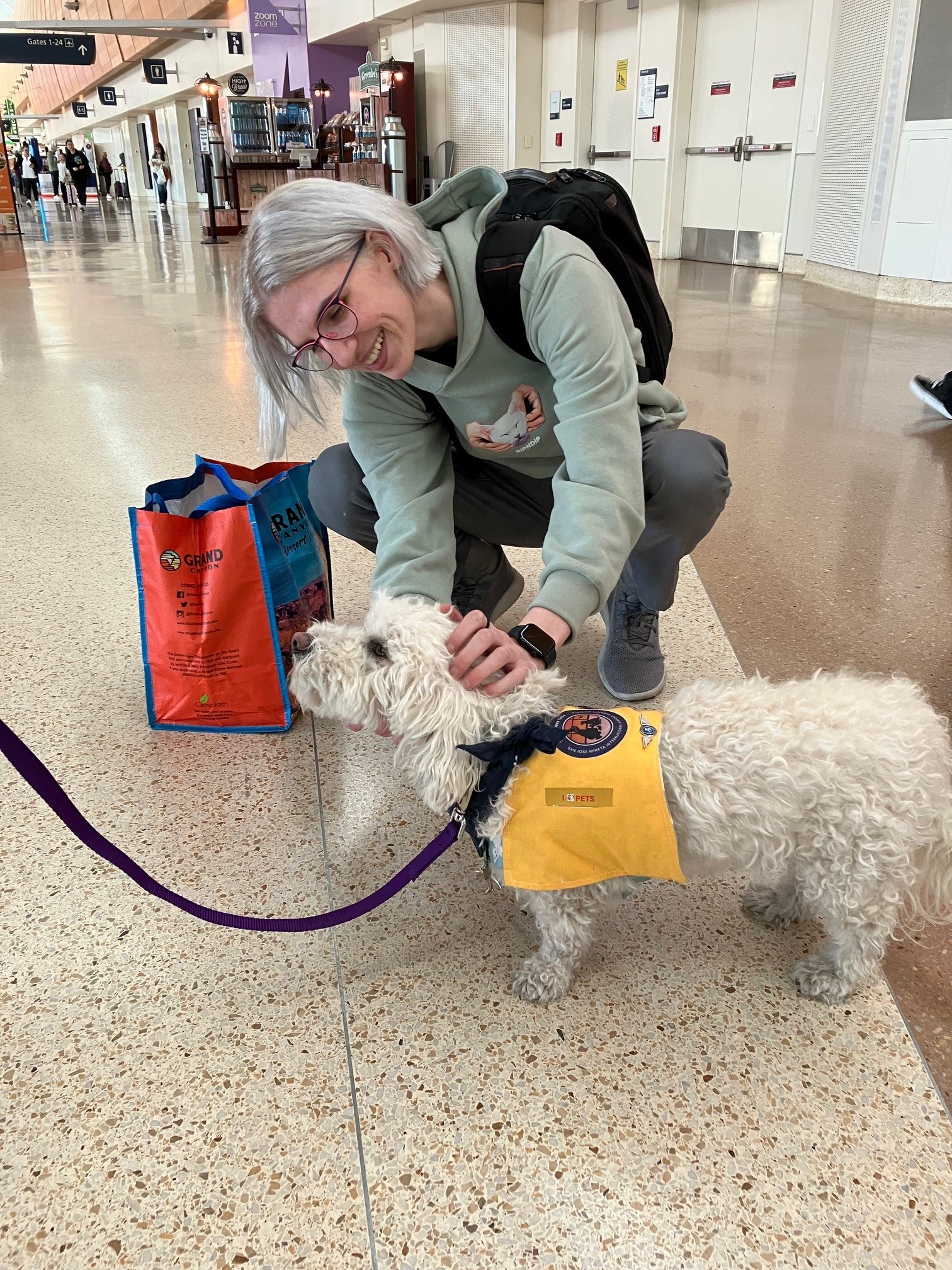 Therapy animal at SJC