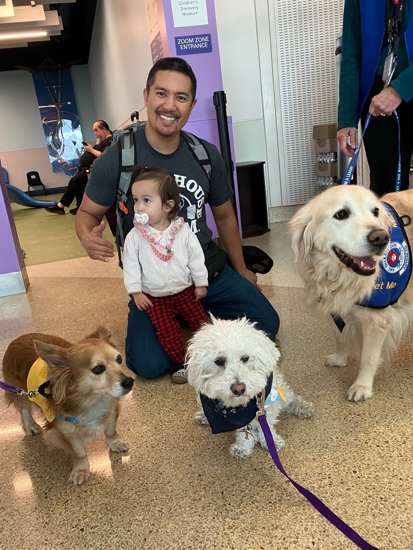 Therapy animal at SJC