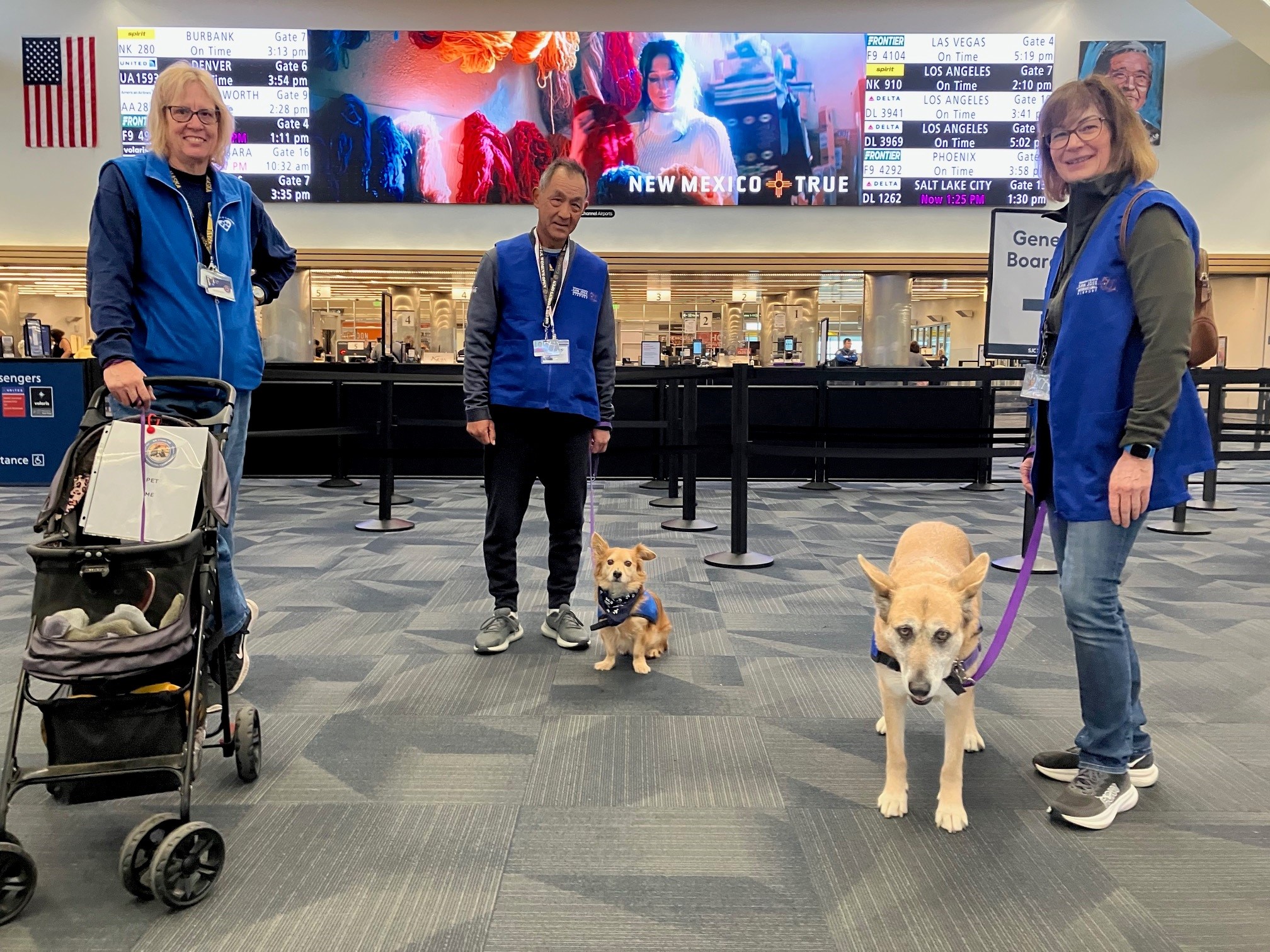 Therapy animal at SJC