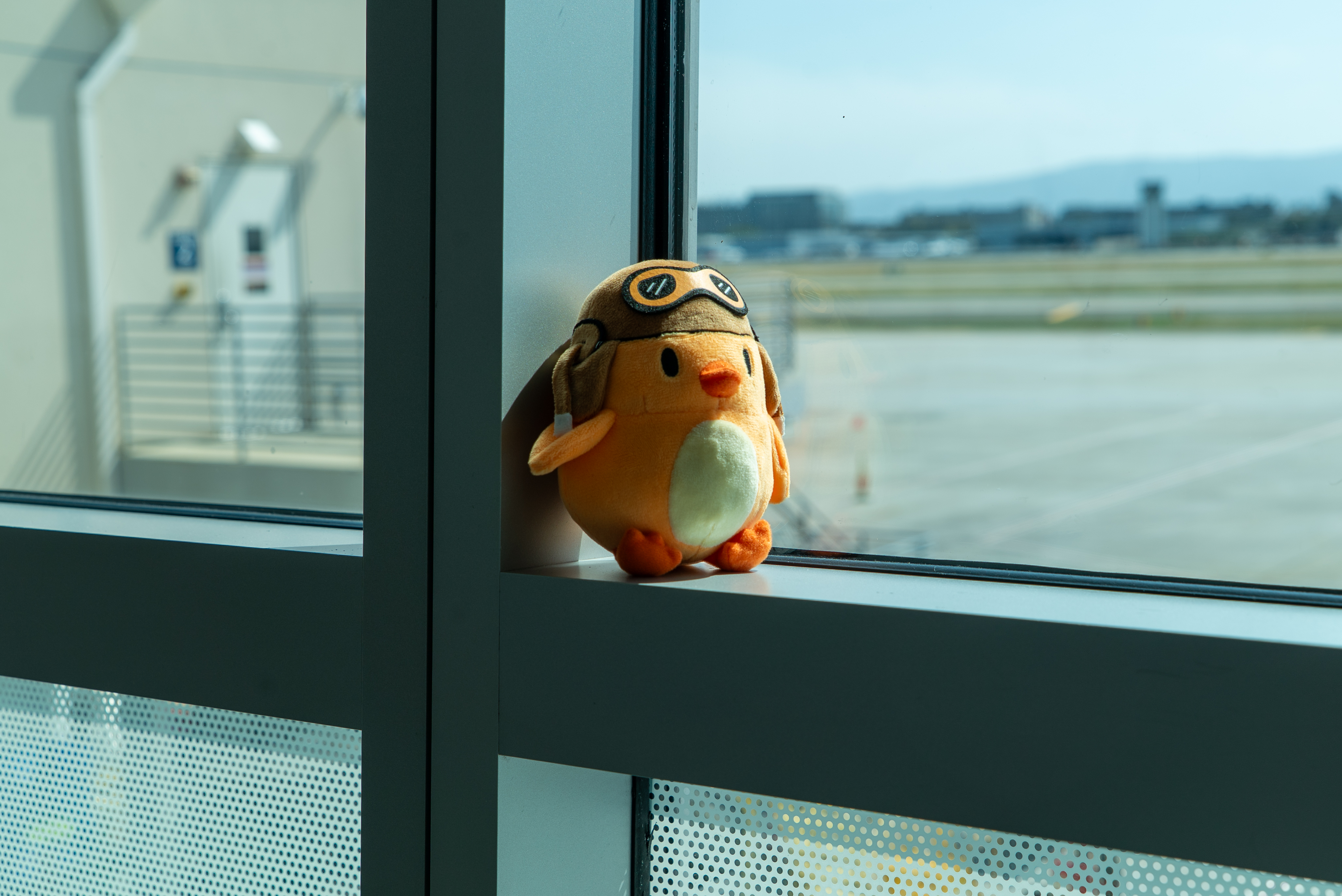 Ernie Plushie sitting at a window