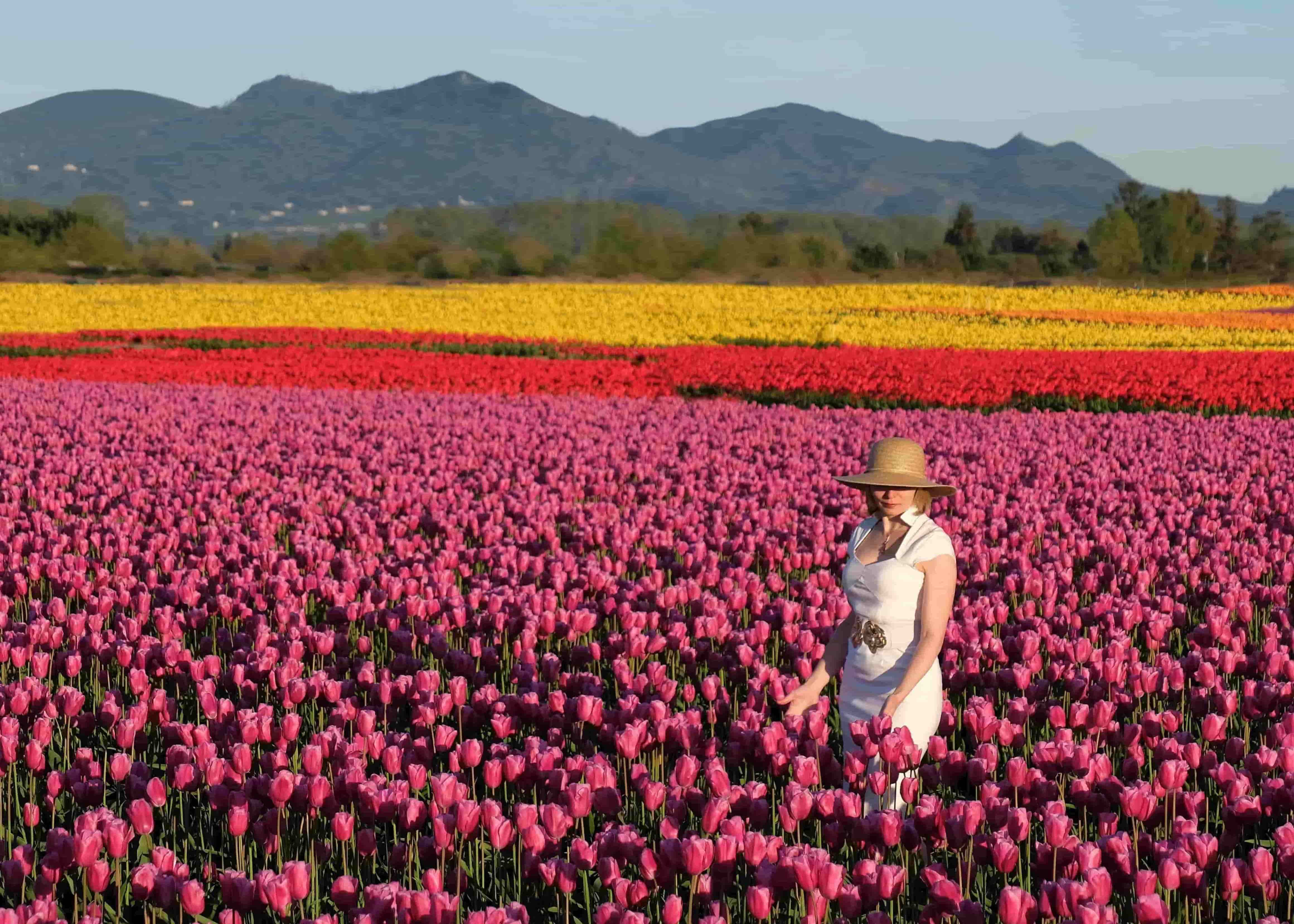 Skagit Valley, Washington
