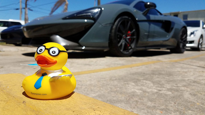 #SJCDuck-chillin-in-New-Orleans-living-the-life-of-luxury..jpg