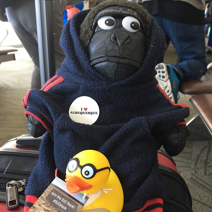 @augiezl-is-flying-for-the-first-time-to-Albuquerque-and-today-this-is-the-first-direct-flight-by-@southwestair-he’s-traveling-with-his-new-buddy-#SJCduck.jpg