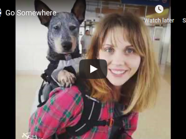 Go Somewhere Social Montage