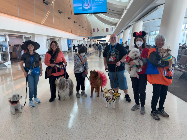 Halloween therapy animal parade