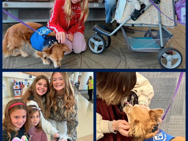 Traveling with Kids blog post