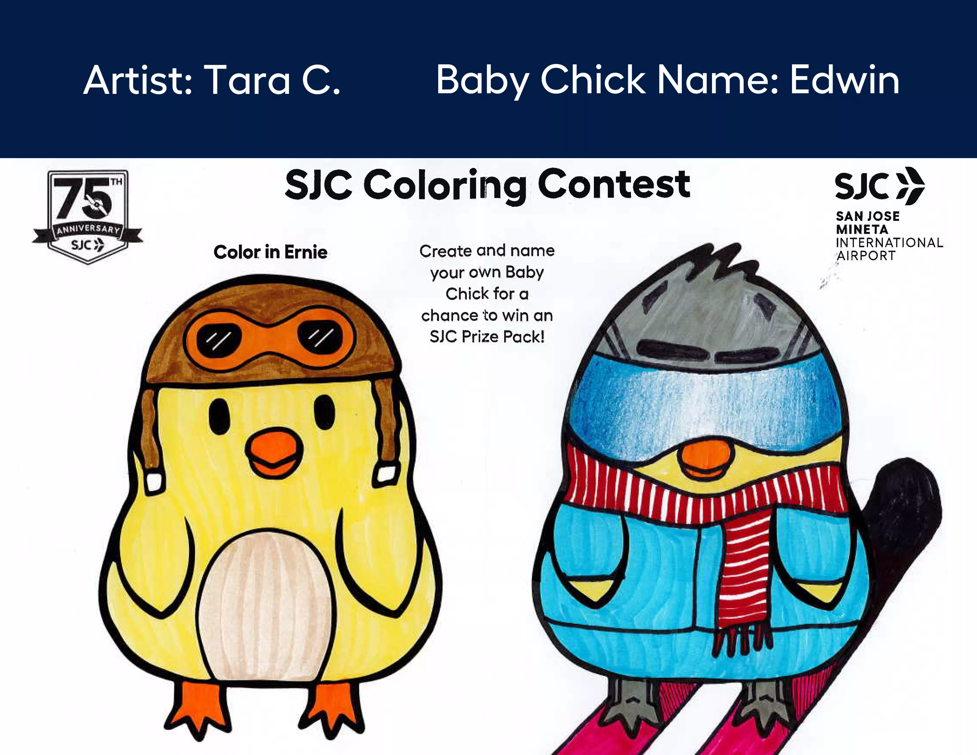 Honorable Mentions (Ages 18 and Up) 5