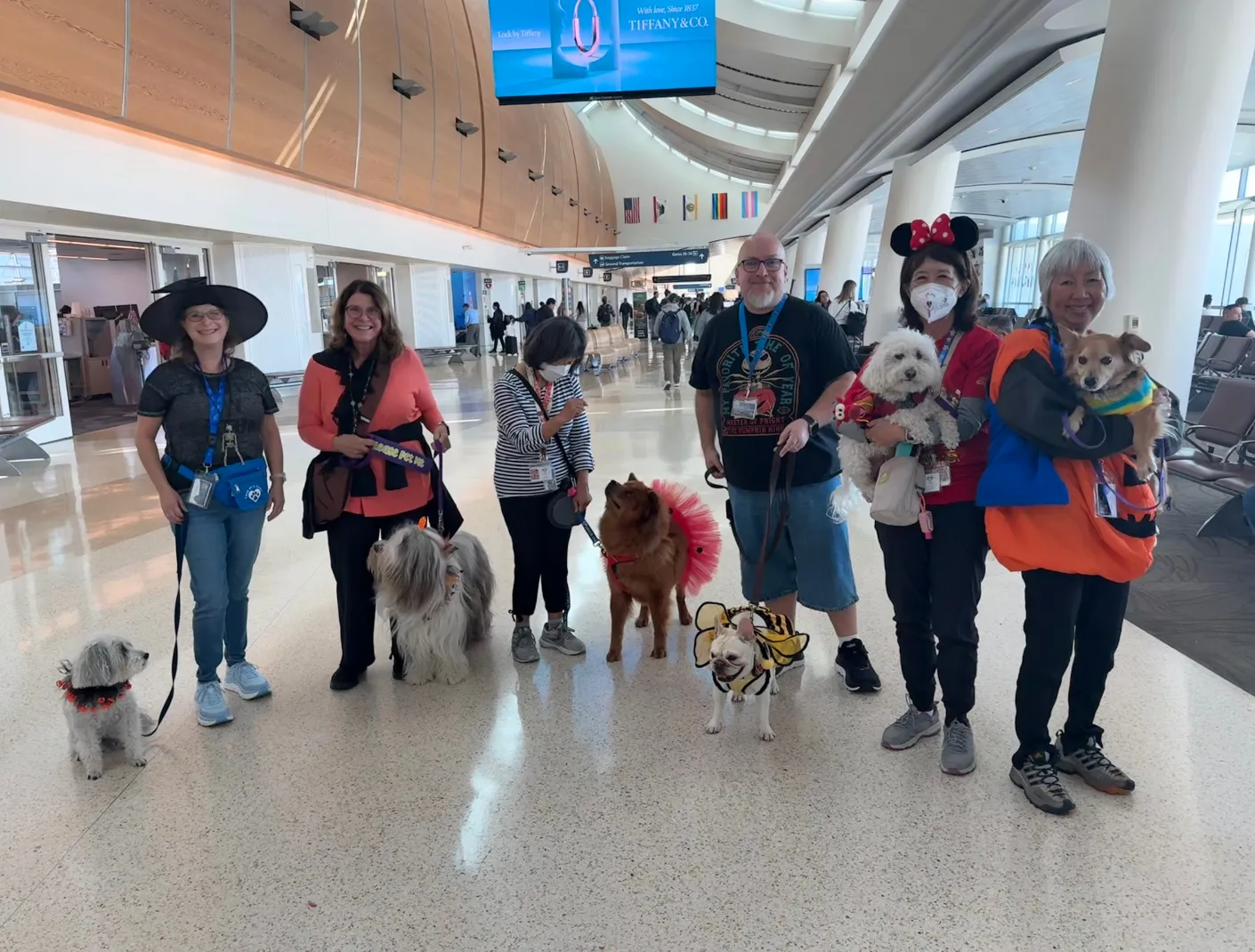 Halloween therapy animal parade