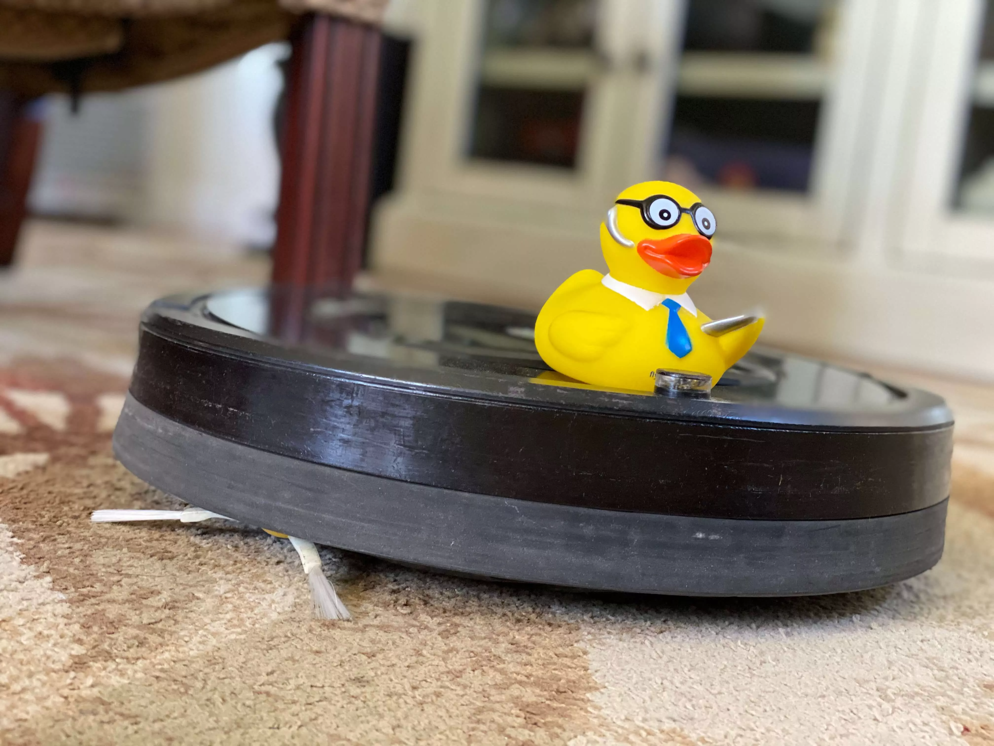 Seymour Roomba