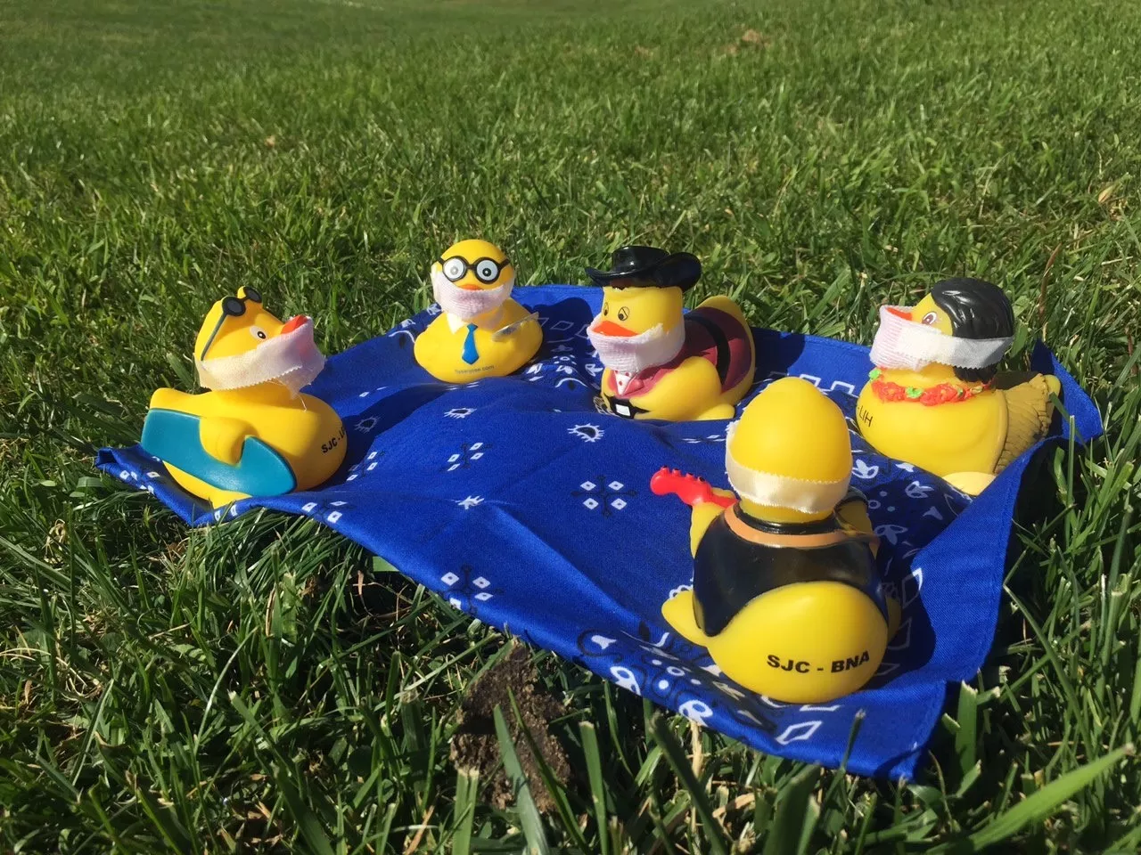 Seymour and his friends enjoy a picnic