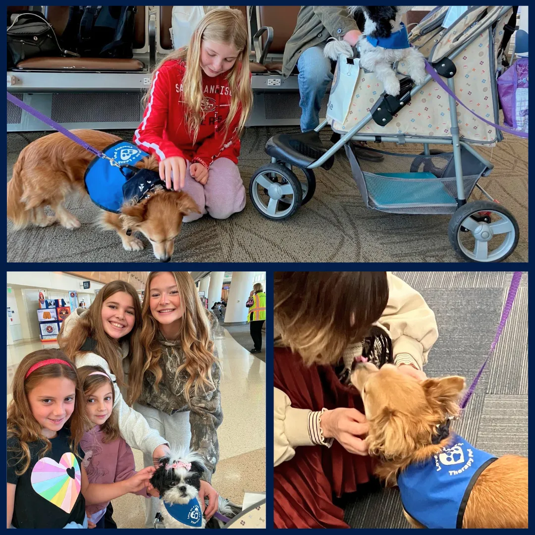 Traveling with Kids blog post