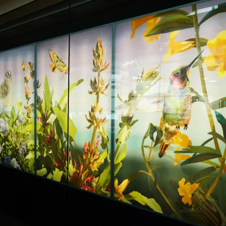 •	Frequent Flyers by Roan Victor