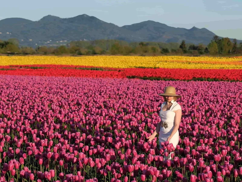 Skagit Valley, Washington