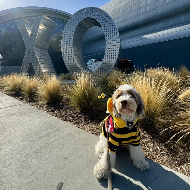 SJC Happy Tails Animal in front of XO sign
