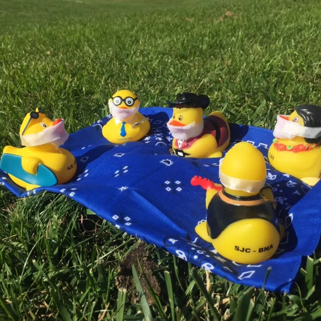 Image of Seymour and his friends enjoy a picnic